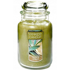 Yankee Candle Large Jar Sage & Citrus 623g