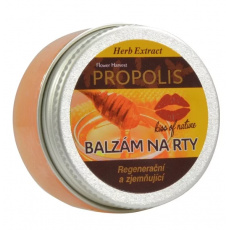 VIVACO Schutzbalsam für Lippen Propolis HERB EXTRACT 25 g