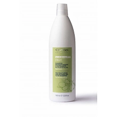 Oyster Sublime Fruit Restructuring Olive Shampoo 1000 ml 
