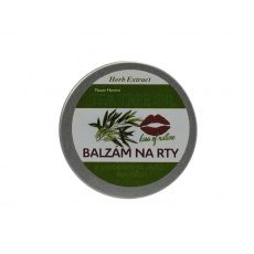 VIVACO Lippenbalsam mit Teebaumöl HERB EXTRACT 25 g