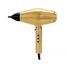 Babyliss Pro GOLDFX 2200W Digital Dryer