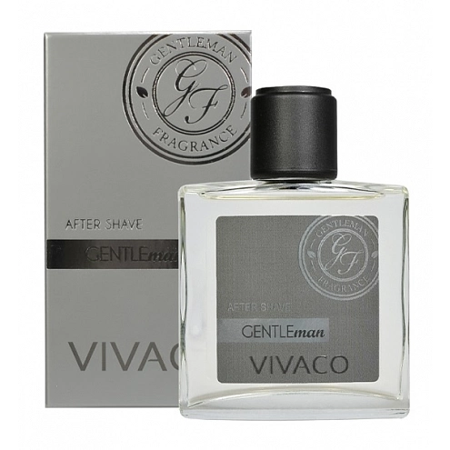VIVACO Aftershave GENTLEMAN SILVER EDITION 100 ml